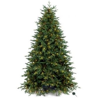 Geometrie Uitwerpselen nederlaag Kerstboom met verlichting huren? - breukersverhuur