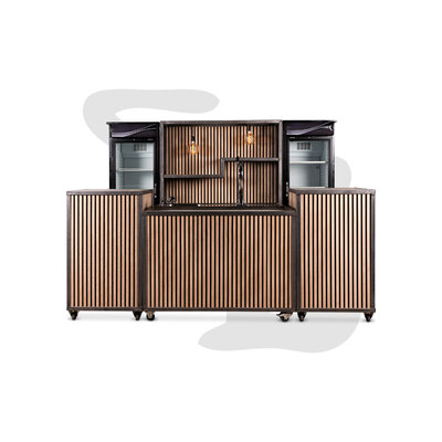 Bar Bistro compleet met tap 3mtr.